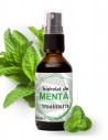 Hidrolat de Menta, 100ml - Saimara